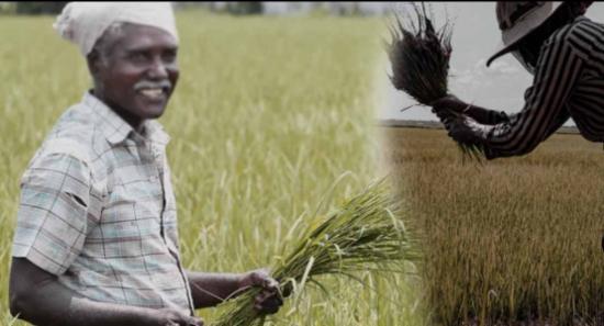 සහනාධාර නොලැබුණු ගොවීන්ට සුබ පණිවිඩයක්..